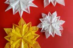 WhatsApp-Image-2025-01-06-a-11.44.57_c9f21585
