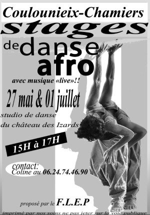 Stage danse afro 2012